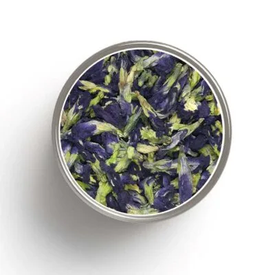 Infusion de fleurs Clitoria ternatea