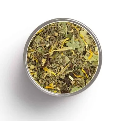 Tisane MENTHE-ANIS bio